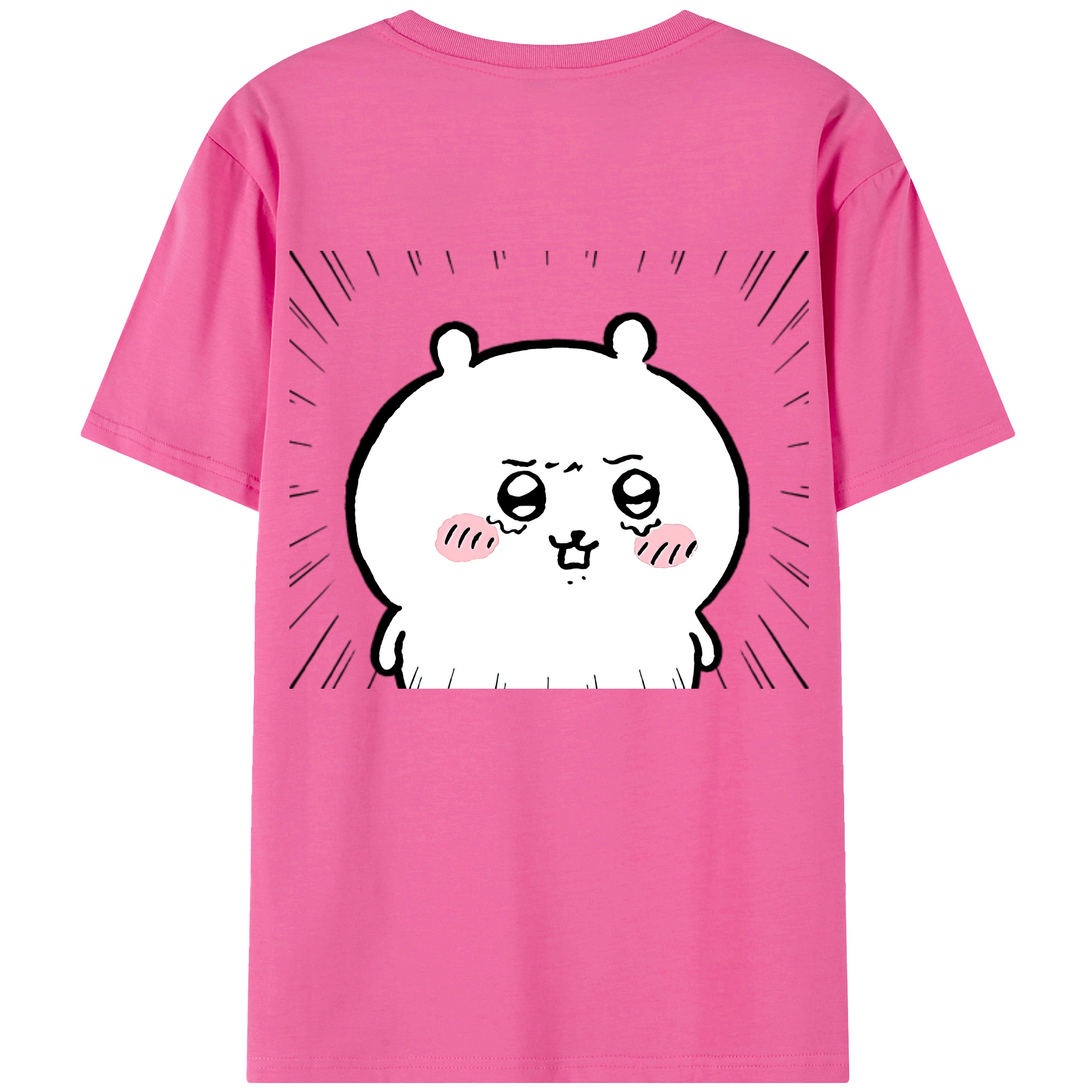 （画像用） ちいかわ ちいかわ Chii-kawa chiikawa レディース半袖Tシャツ(バックプリント)